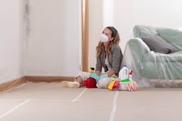 Reliable Mold Remediation contractor in Medford, MA by WQB Mold Removal